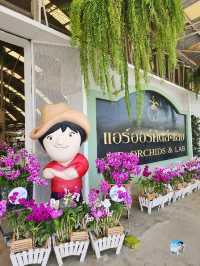AIRORCHIDS SUPERMARKET