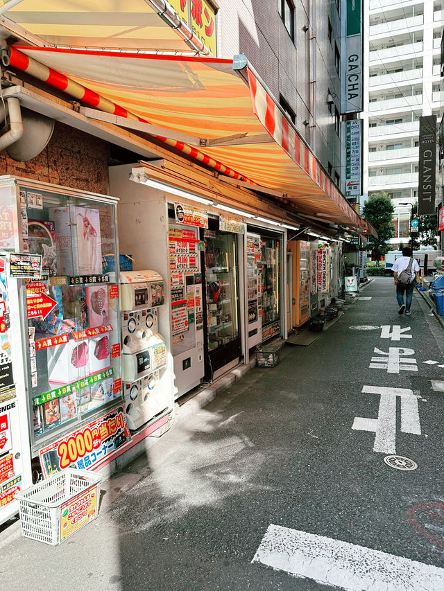 Akihabara: Tokyo’s Electric Wonderland