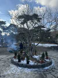 아름다운 인테리어와 ❄️한옥을 개조한 겨울 감성 성남 카페투어