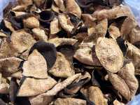 Fragrant Medicine  — The Chenpi of Xinhui (Dried Mandarin Peel)