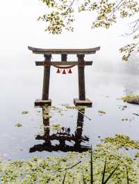 【大分県/由布市】金鱗湖半で期間限定の絶景に出会う