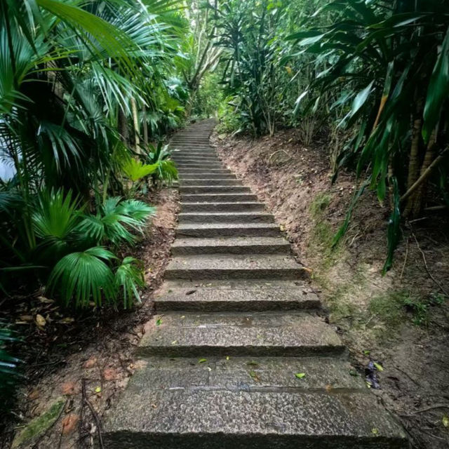 【中国/アモイ園林植物園】