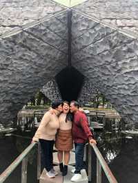 Taiwan in 3 Days: Blossoms, Mountains, and Hidden Gems