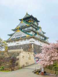 Osaka in Bloom: 2-Day Cherry Blossom Adventure & Universal Studios Magic