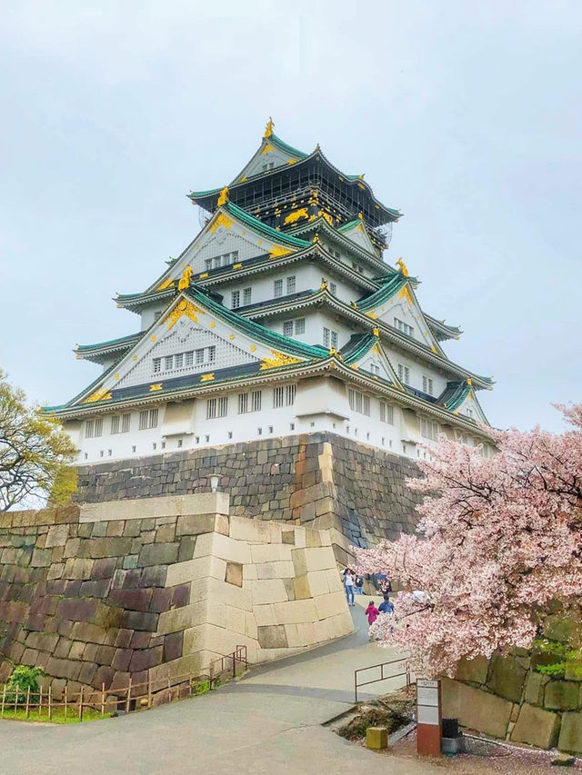 Osaka in Bloom: 2-Day Cherry Blossom Adventure & Universal Studios Magic