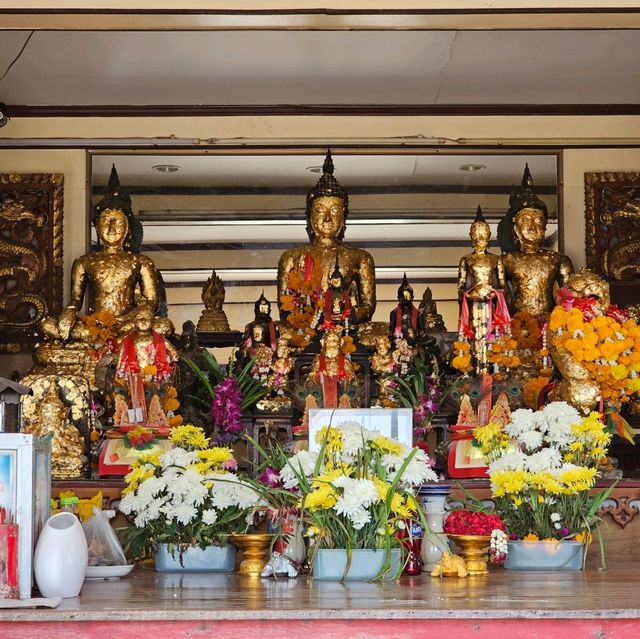 สะพานแดง จุดชมวิวปลาโลมา