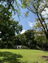不一樣的路線 花園城市新加坡 慢遊攻略