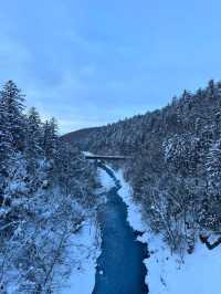 2 Days in Sapporo: A Winter Wonderland Adventure