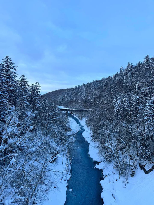 2 Days in Sapporo: A Winter Wonderland Adventure