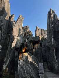 The Stone Forest Scenic Area