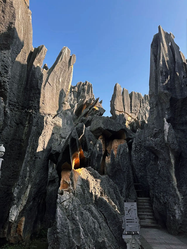 The Stone Forest Scenic Area