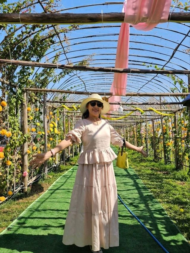 สวนวิลาวัณย์-วังน้ำเขียว Wilawan garden