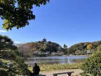 様々な顔がある日本庭園〜三渓園〜@横浜