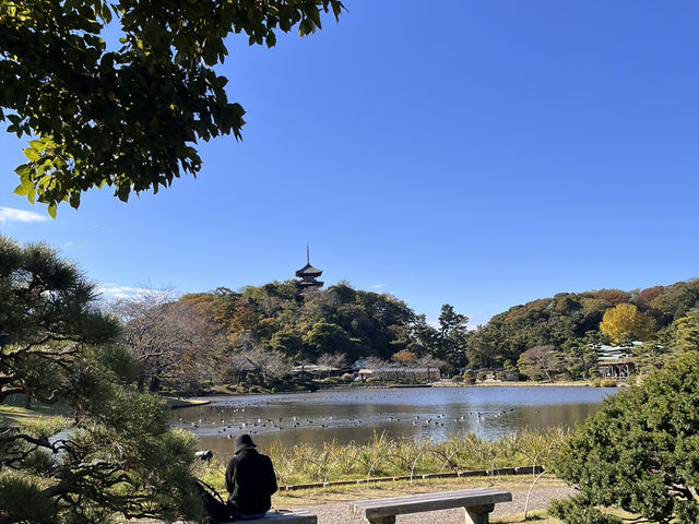 様々な顔がある日本庭園〜三渓園〜@横浜