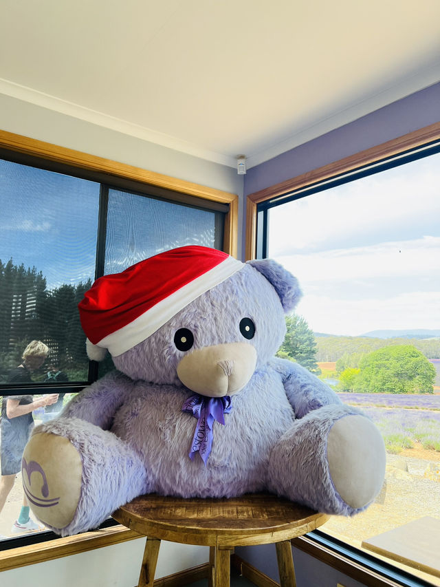 How to spend 3 days in Launceston