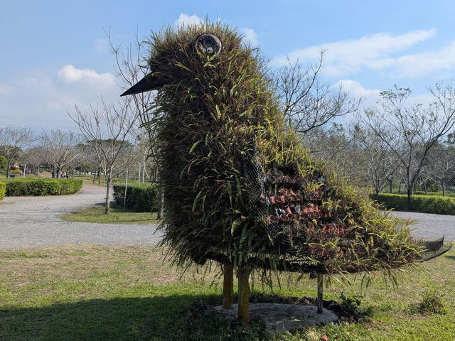 林後四林平地森林公園～非常適合散步運動的好地方