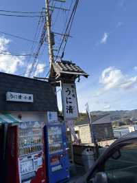 神奈川県真鶴