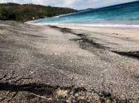 Black sand beach 