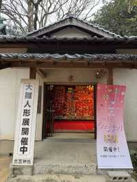 【山口観光】城下町長府の神社で開催中の｢大雛人形展｣🎎