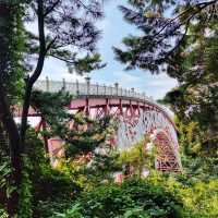 🇰🇷 Seonim Bridge: A Scenic Archway for Photos and Tranquility