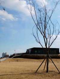 역사 속을 걷는 산책길 ⛩️🌿