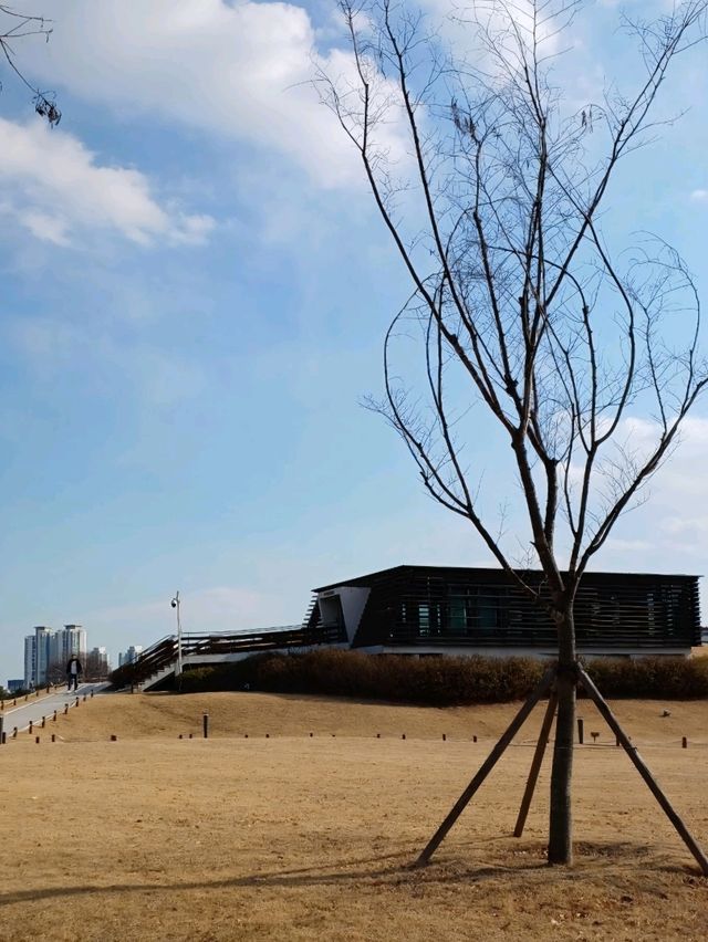 역사 속을 걷는 산책길 ⛩️🌿