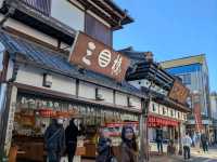 成田山表参道賑わってます！