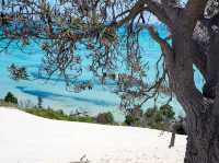 Moreton Island