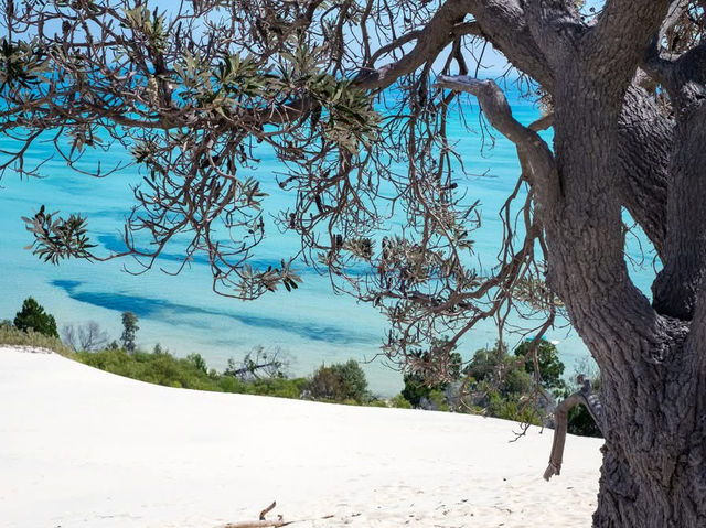 Moreton Island
