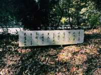 神話の舞台・天岩戸神社で神秘の空気を感じよう⛩✨