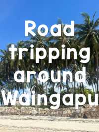 A Road Trip Through Waingapu – Where Horses Rule the Road 🐎🚗 