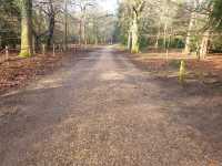 New Forest National Park