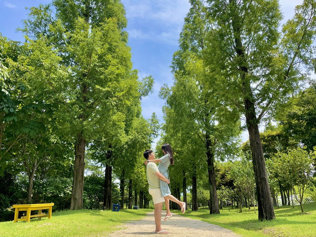 한국판 네덜란드🌷💐