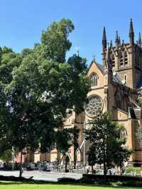 A Tranquil Escape at Hyde Park in Sydney