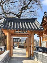 전주 여행가면 꼭 가봐야할 덕진 공원과 연화정도서관