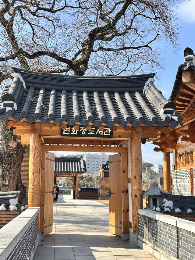 전주 여행가면 꼭 가봐야할 덕진 공원과 연화정도서관