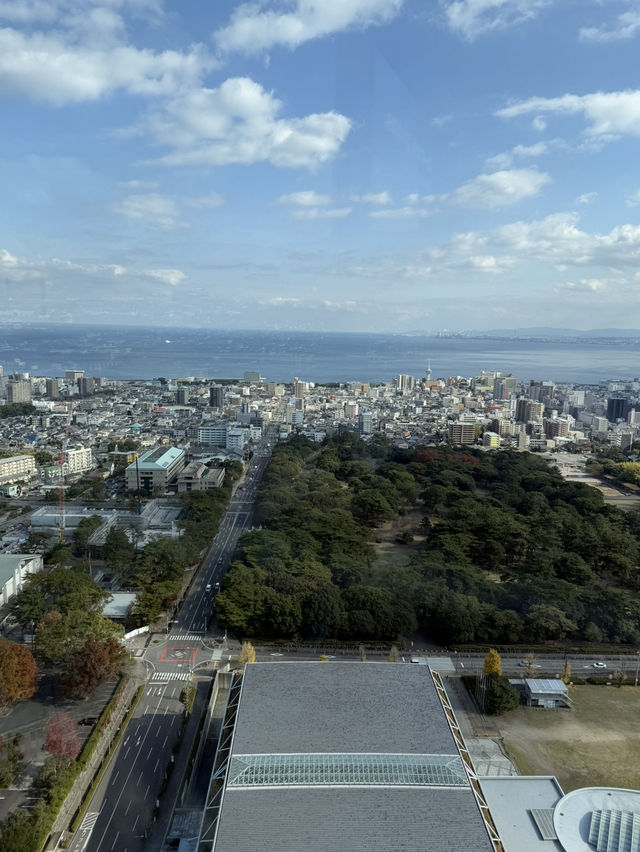 「グローバルタワー｜別府市街と温泉の湯けむりを一望する絶景スポット」