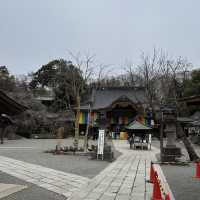 毎年3月上旬に行われる「厄除元三大師大祭」でも有名な深大寺⛩🌿