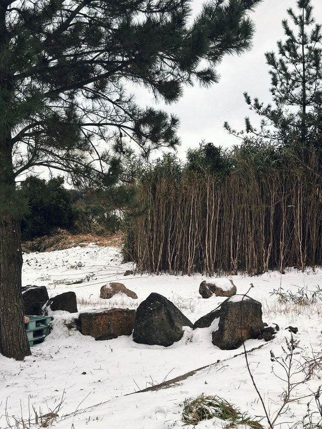 제주의 숲 한가운데에서 즐기는 시그니처 커피🌲