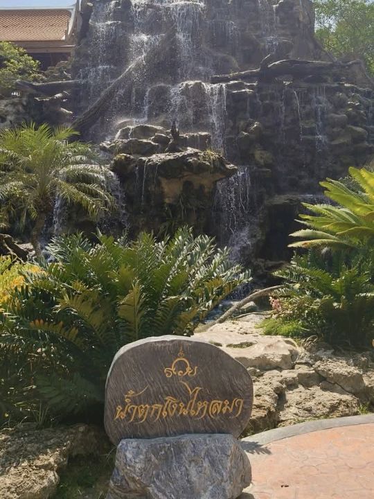วัดตะโก อยุธยา