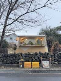 Tangerine picking cafe 