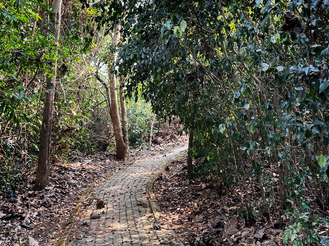 ภูเขาหินปูนคล้ายปะการัง