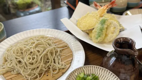 【후쿠오카 음식】현외에서의 손님도 많다! 10% 소바를 먹을 수 있는 가게🥢 — traveler post in 도호 촌