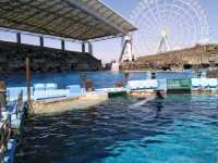 Nagoya Port Aquarium (名古屋港水族館)