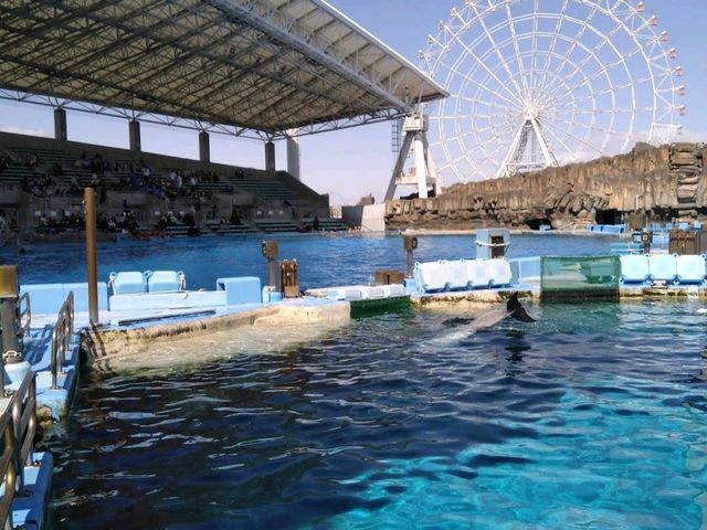 Nagoya Port Aquarium (名古屋港水族館)