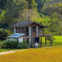นอนโฮมสเตย์สุดชิล กลางหุบเขา เชียงใหม่ 🏠🌳