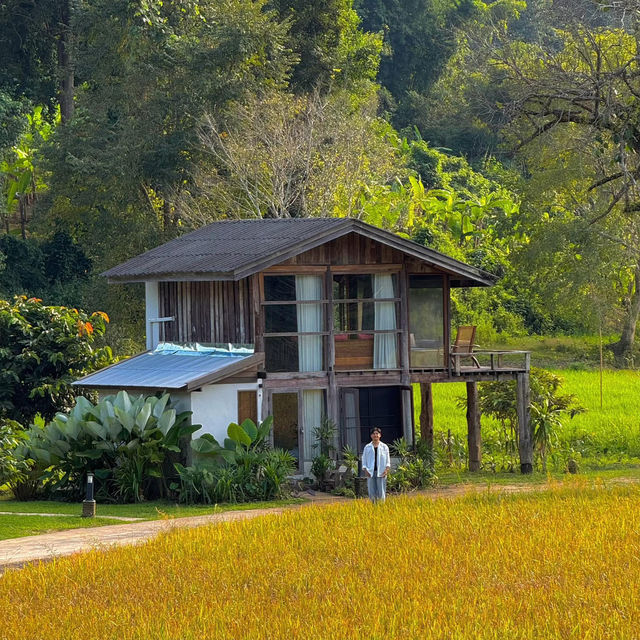 นอนโฮมสเตย์สุดชิล กลางหุบเขา เชียงใหม่ 🏠🌳