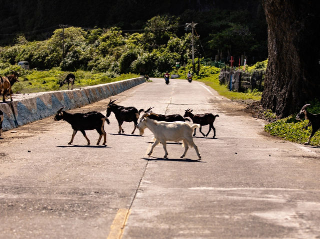 蘭嶼海邊的夏日生活｜在碧海藍天下感受當地人的熱情奔放