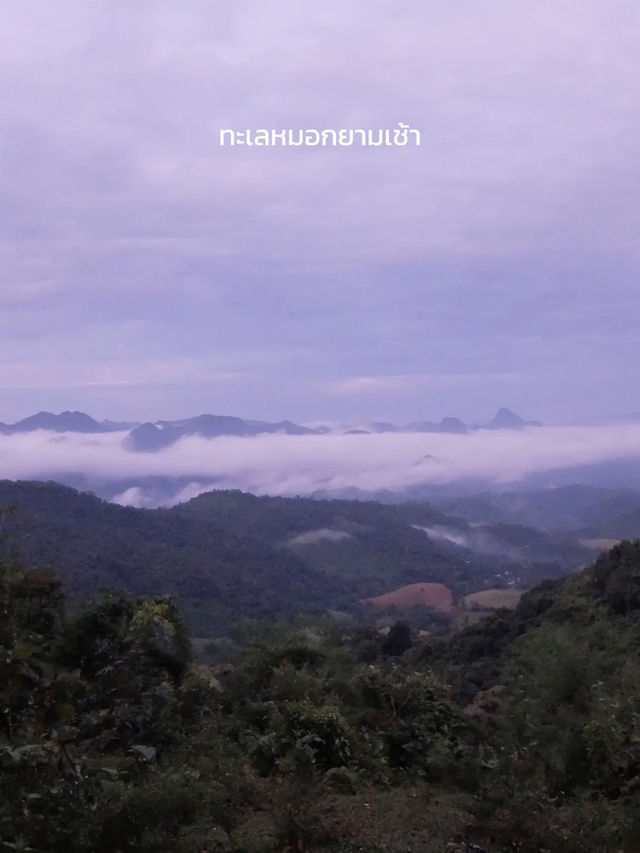 อุทยานแห่งชาติแม่เมย จ.ตาก กับทะเลหมอกหนาๆฟุ้งๆ