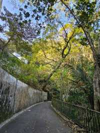 Lugard Road Lookout